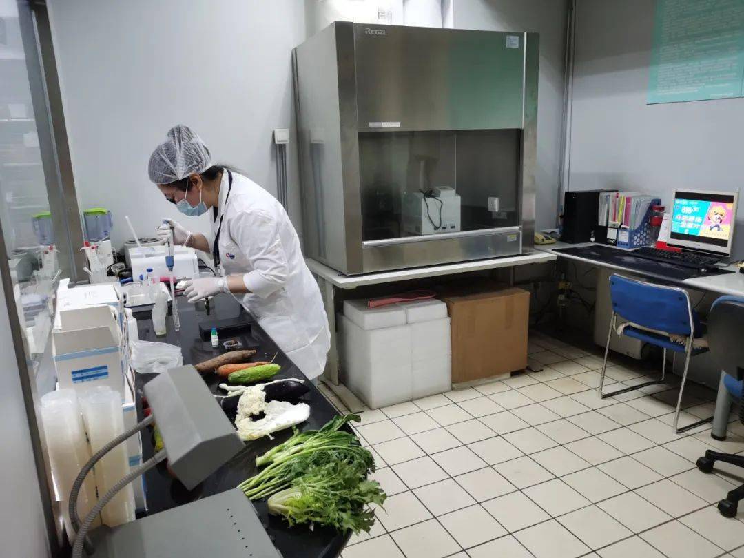 麻阳食品检测实验室装修方案